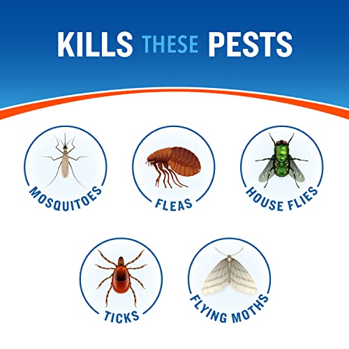 Cutter Backyard Bug Control Spray Concentrate (2 Pack), Kills Mosquitoes, Fleas & Listed Ants, 32 fl Ounce