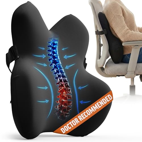 Everlasting Comfort Lumbar Support Pillow for Office Chair - Memory Foam Back Cushion for Car Seat - Promotes Better Posture, Back Pain Relief - Ideal Gaming and Desk Chairs Work and Home Essentials