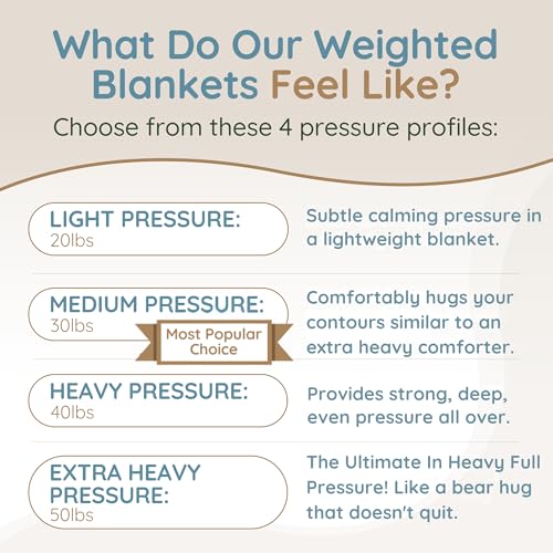 HomeSmart Products Weighted Blanket Queen Size 40lbs - Extra Heavy Blanket, Breathable Soft Fabric, Grey