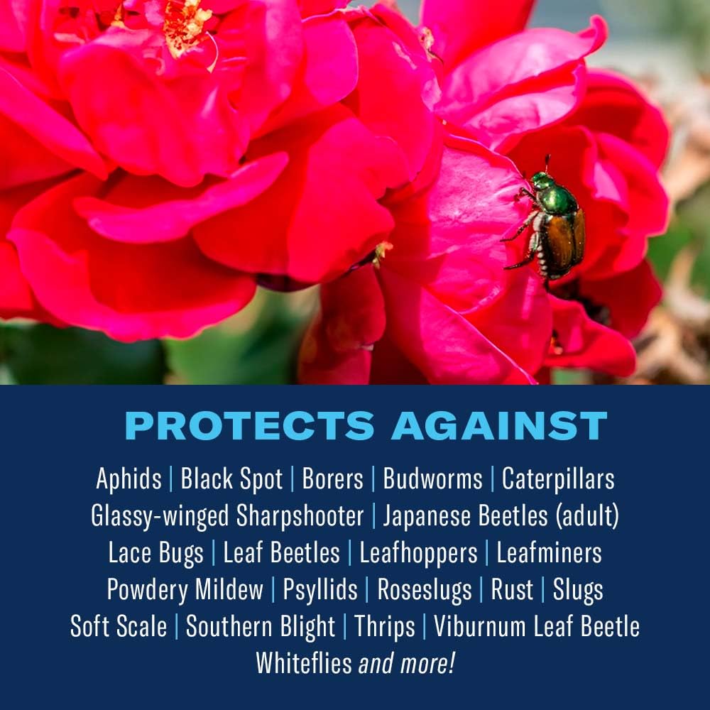 BioAdvanced All-In-One Rose and Flower Care Fertilizer, Granules, 4 lb