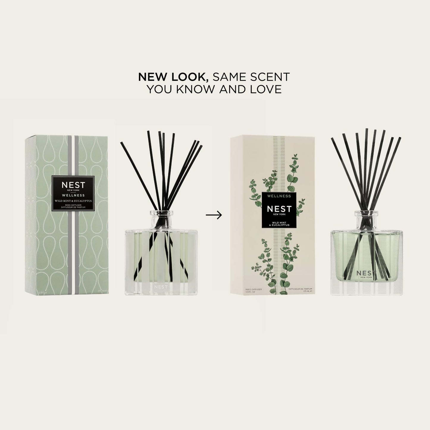 NEST New York Reed Diffuser, Wild Mint & Eucalyptus - 5.9 fl oz - Fragrance for Up to 90 Days - Reusable, Refillable Glass Holder - Includes 8 All-Natural Reed Sticks - Flame Free