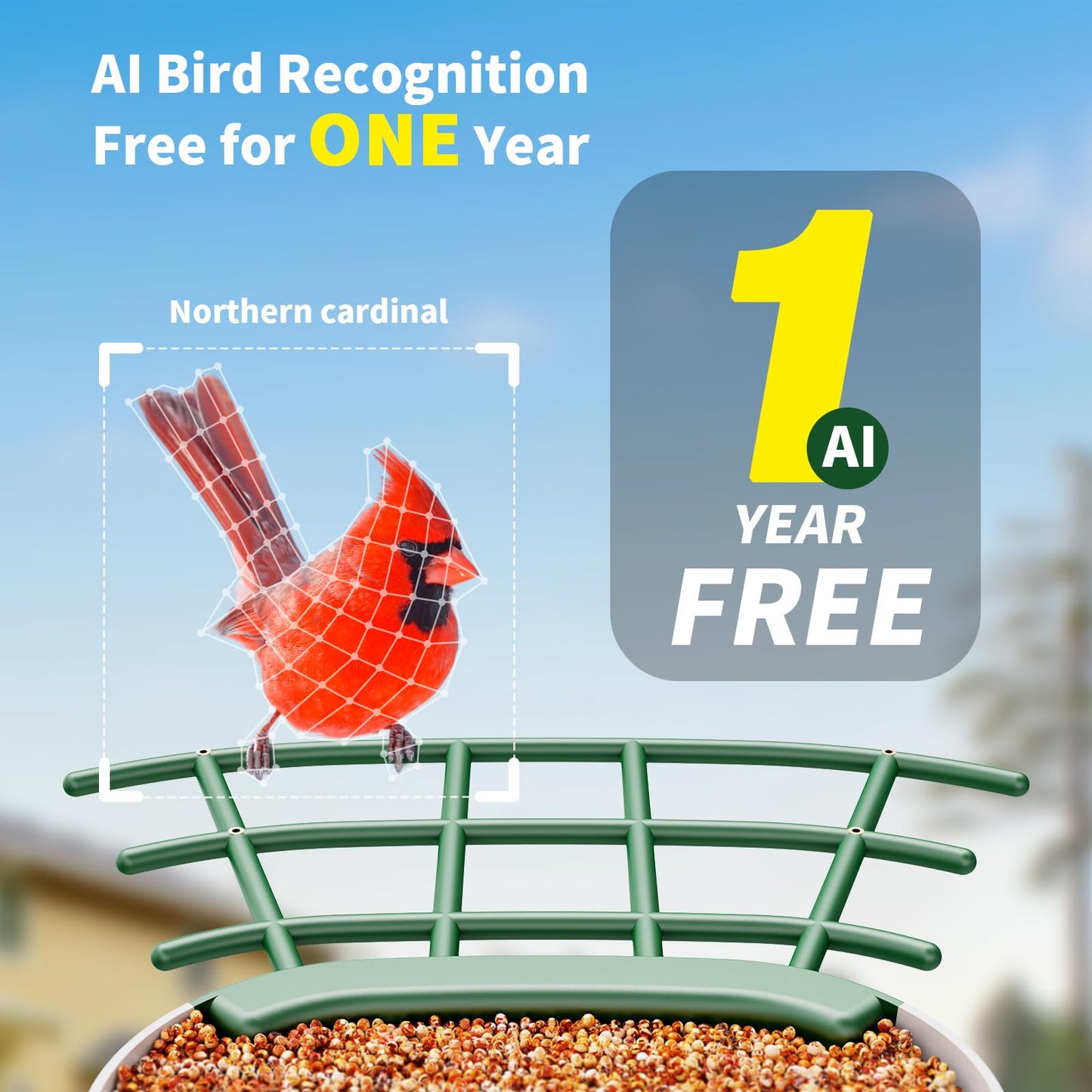 Bird Feeder with Camera, 1 Year Trial AI Identify, Birds Watching Camera with 4 DIY Add-ons, Smart Birds Cam with Solar Panel for Outdoor, Auto Record Videos, Gift for Bird Lover
