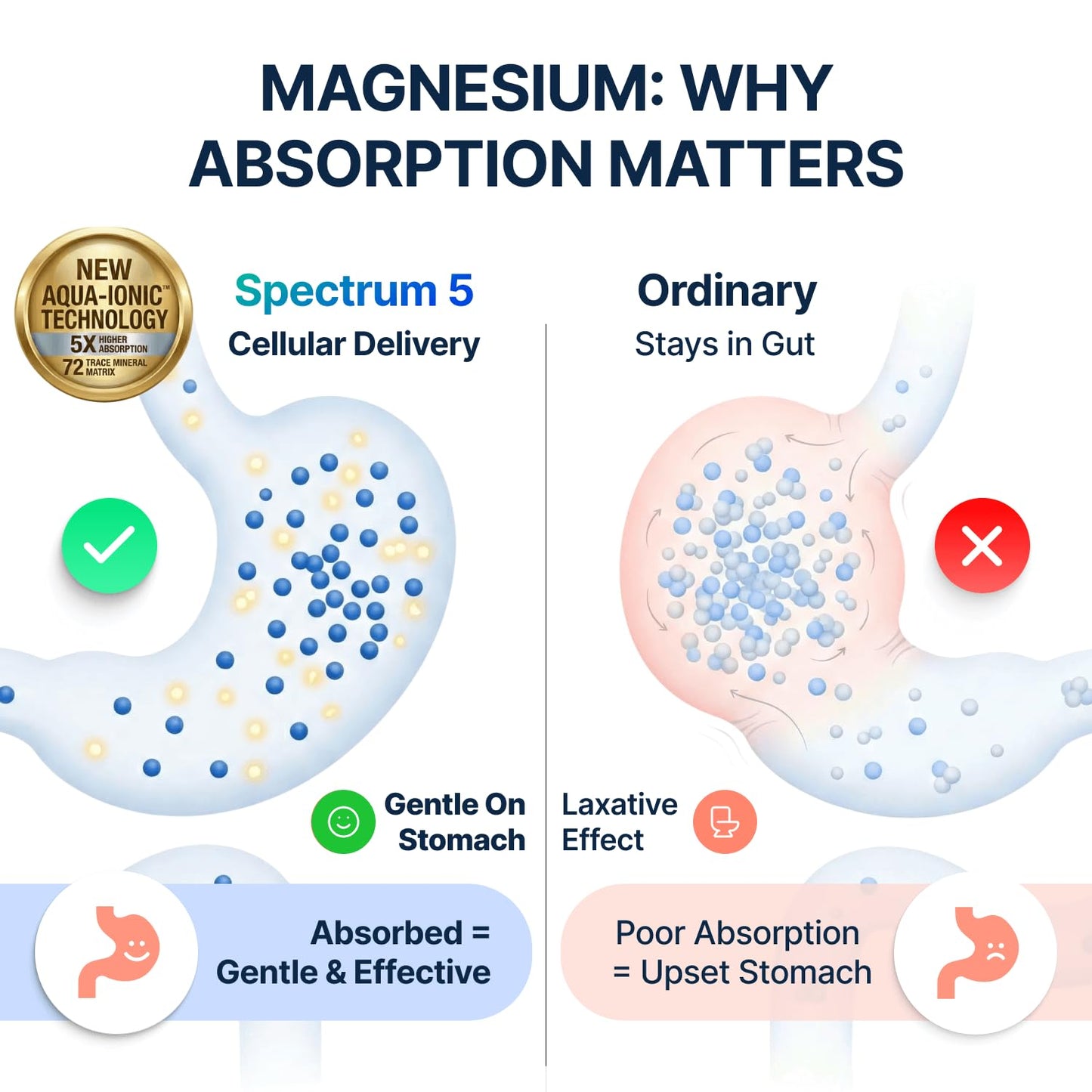 Spectrum 5 Magnesium | 5-in-1 Complex + 72 Trace Minerals for Enhanced Absorption | Irish Sea Sourced | 500mg per Serving | Made in USA, Third Party Tested, GMP Certified