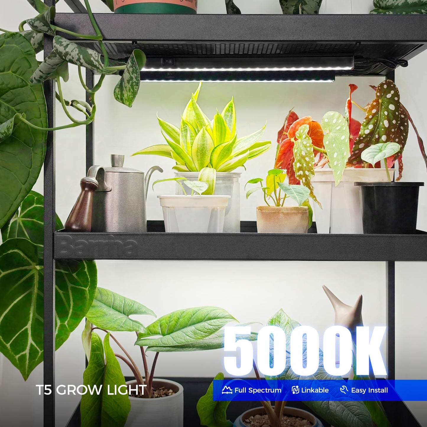 Barrina T5 Grow Lights for Indoor Plants, Full Spectrum Grow Light, 1ft LED Plant Light, Black Cover LED Grow Light Strips, 3 Mounting Modes, Magnetic Installation, Plug and Play, 5000K, 4 Packs