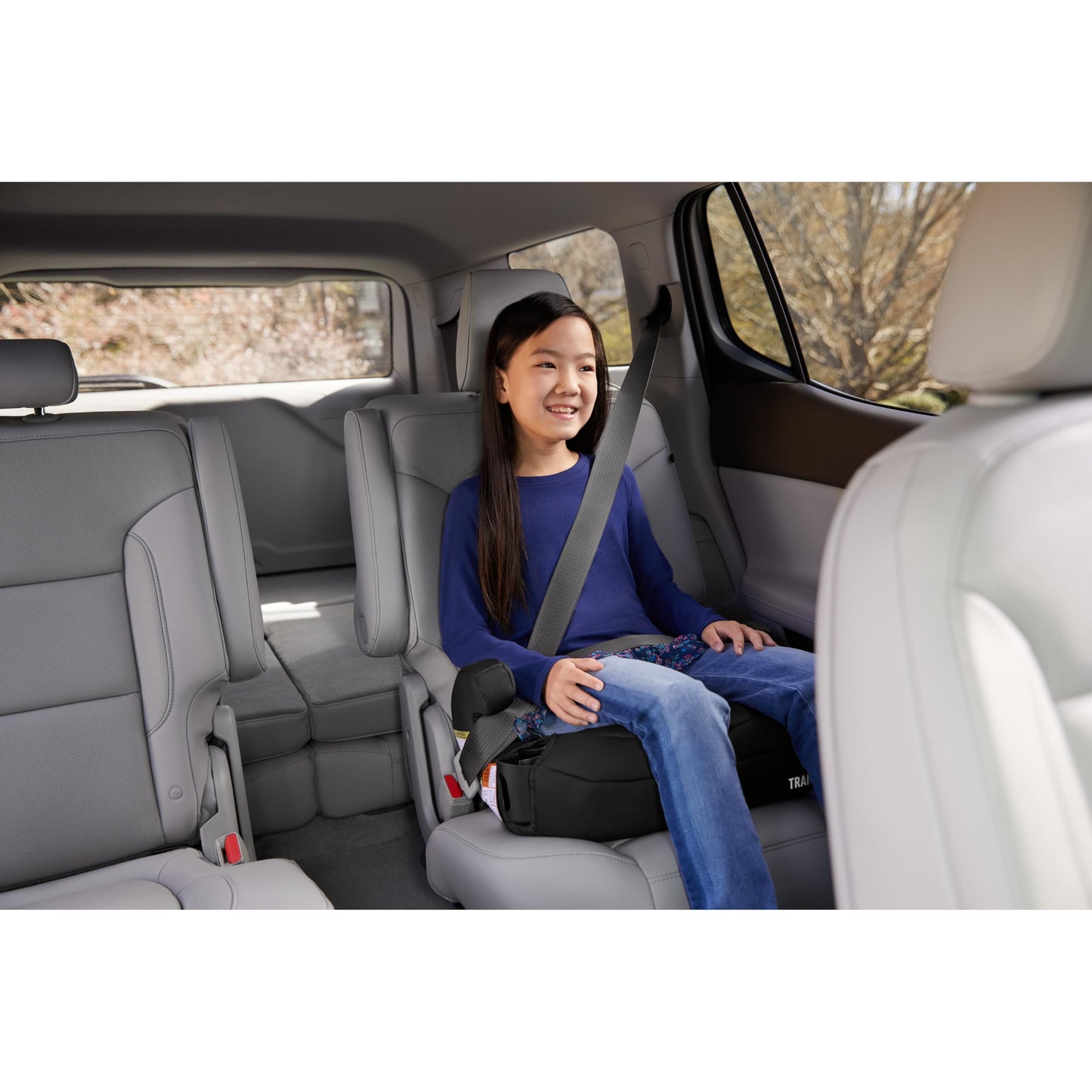 Graco Tranzitions 3-in-1 Harness Booster Car Seat, Forward Facing Car Seat, Highback, to Backless Booster, Cinder