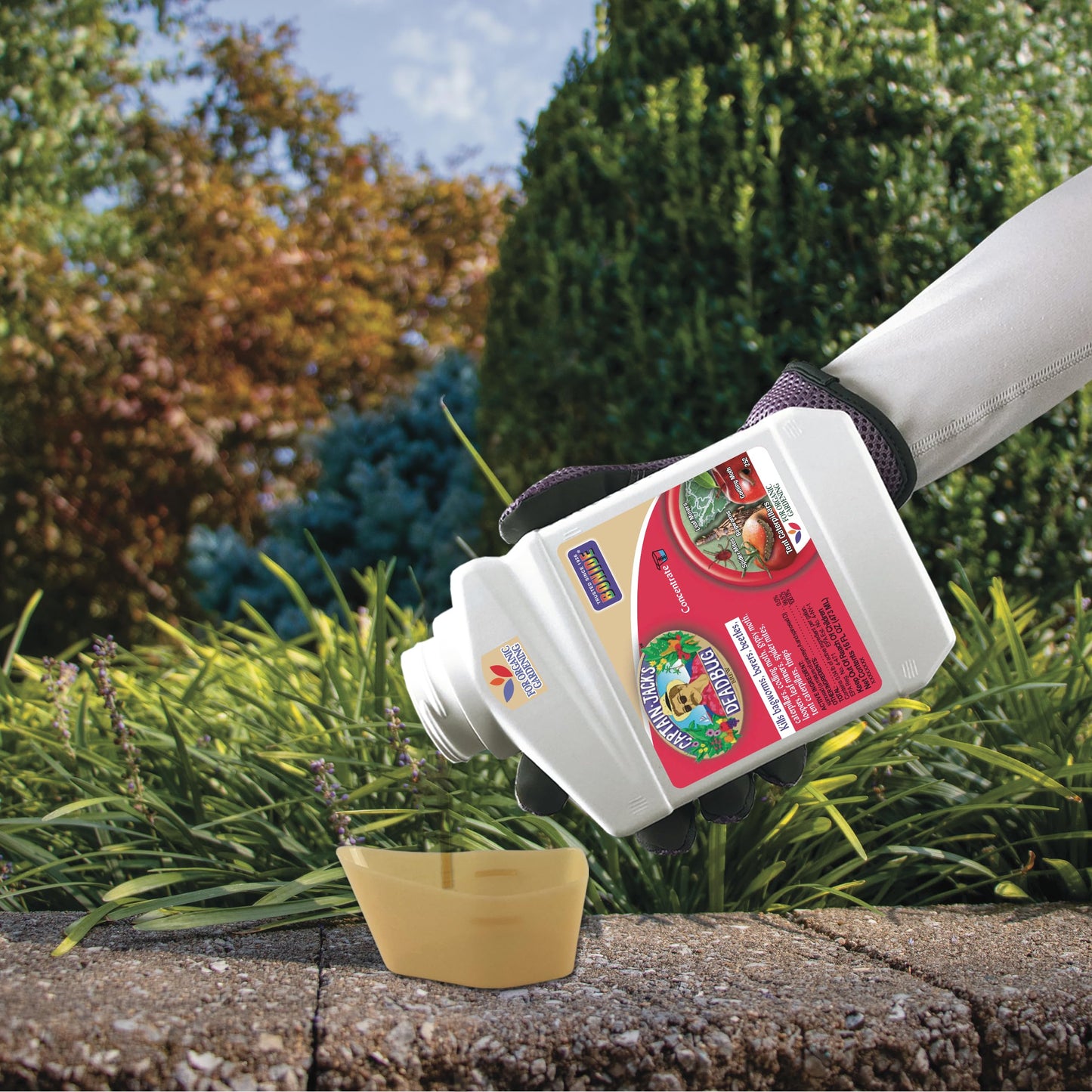 Bonide Captain Jack's Deadbug Brew, 16 oz Concentrate Outdoor Insecticide and Mite Killer for Organic Gardening