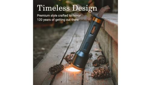 Coleman 1900 Collection 200 Lumen LED Flashlight