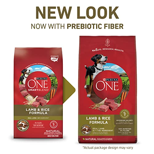 Purina ONE Dry Dog Food Lamb and Rice Formula - 31.1 lb. Bag