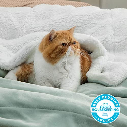Bedsure Sherpa Fleece Throw Blanket Twin Size for Couch - Thick and Warm Blanket for Winter, Soft and Fuzzy Fall Throw Blanket for Bed, Sage Green, 60x80 Inches