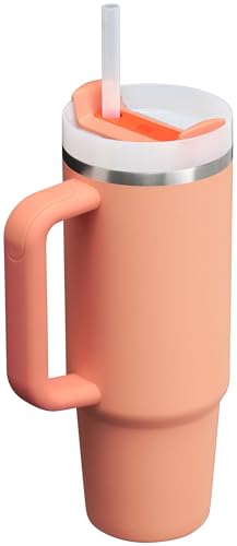 Stanley Quencher H2.0 Tumbler with Handle and Straw 30 oz | Flowstate 3-Position Lid | Cup Holder Compatible for Travel | Insulated Stainless Steel Cup | BPA-Free | Nectarine