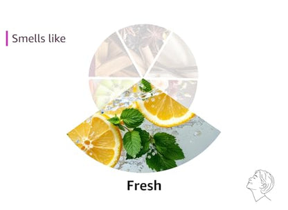 Purely Northwest Tea Tree Body Wash for Men and Women – Natural Tea Tree Oil Body Cleanser for Odor, Skin Irritations, Hydrating Shower Gel for Sensitive Skin, Gentle and Refreshing Body Wash