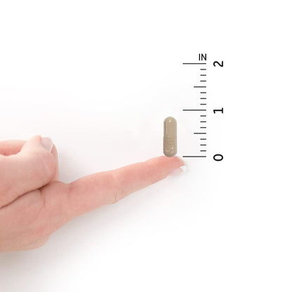 Garden of Life - Vitamin Code Raw VitaminC - 120 Vegan Capsules, 500mg Whole Food VitaminC with Bioflavonoids, Fruits & Veggies, Probiotics, Gluten Free Vitamin-C Supplements for Adults