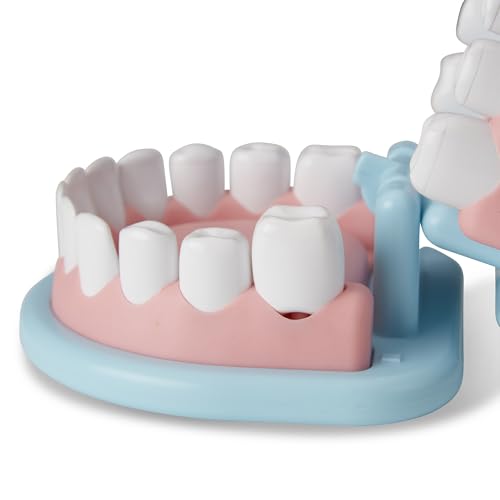 Melissa & Doug Super Smile Dentist Play Set, 25-Piece Dentist Kit with Oversized Teeth, Large Tools & Accessories, Kids Toys for Girls & Boys 3+