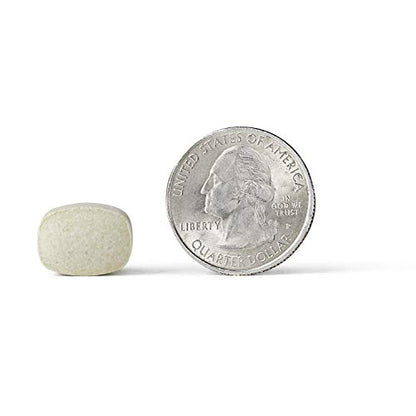 Airborne Vitamin C 1000mg (per Serving) - Citrus Chewable Tablets (116 Count in a Bottle), Gluten-Free Immune Support Supplement, with Vitamins A C E, Zinc, Selenium, Echinacea, Ginger, Antioxidants