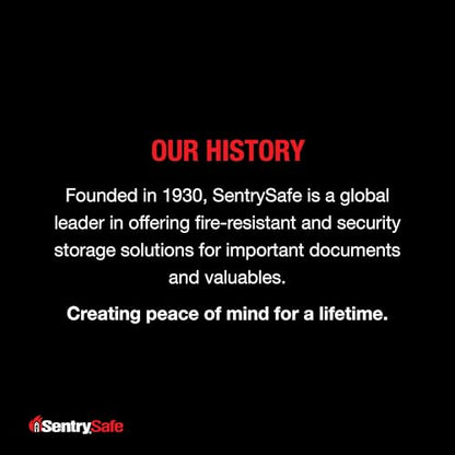 SentrySafe Medium Gray Fireproof Safe and Waterproof Safe Box with Dial Combination, Home Security for Money, Documents, or other Valuables, 1.23 Cubic Feet, SFW123DSB