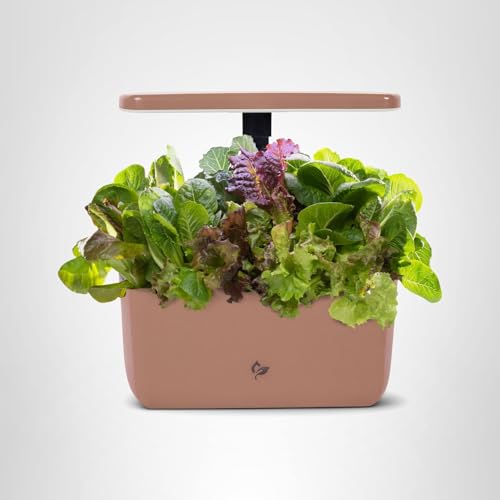 AeroGarden Harvest Lite in Mocha, Soil-Free Indoor Hydroponic Garden with LED Grow Light for Year-Round Gardening of up to 6 Herbs and Vegetables