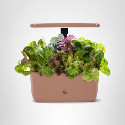 AeroGarden Harvest Lite in Mocha, Soil-Free Indoor Hydroponic Garden with LED Grow Light for Year-Round Gardening of up to 6 Herbs and Vegetables