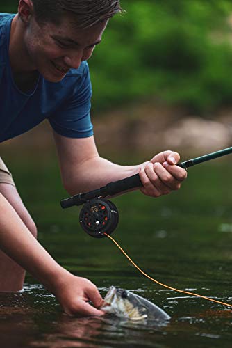 Martin Complete Fly Fishing Kit, 8-Foot 5/6-Weight 3-Piece Fly Fishing Pole, Size 5/6 Rim-Control Reel, Pre-spooled with Backing, Line and Leader, Includes Custom Fly Tackle Assortment, Brown/Green