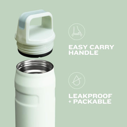 STANLEY IceFlow Cap and Carry Water Bottle 24 oz | Wide Mouth Twist Lid | Lightweight and Leakproof for Travel and Sports | Insulated Stainless Steel | BPA-Free | Polar