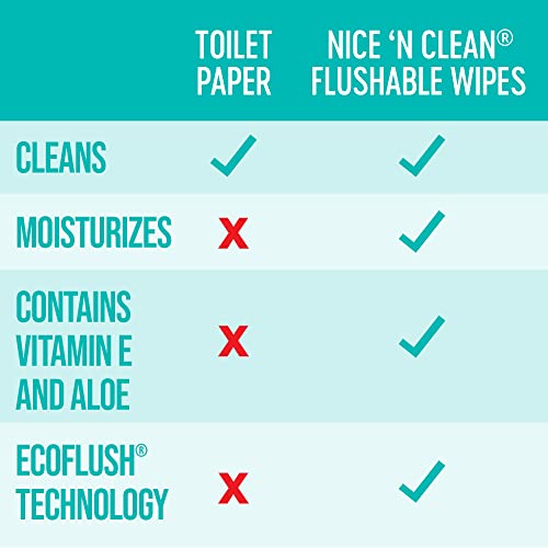 Nice 'N Clean Adult Flushable Wipes (8 x 42 Count) | Personal Cleansing Wipes Made from Plant-Based Fibers | Infused with Aloe & Vitamin E