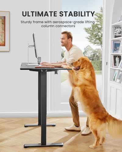 ErGear Height Adjustable Electric Standing Desk, 48 x 24 Inches Sit Stand up Desk, Memory Computer Home Office Desk (Black)