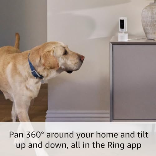 Ring Pan-Tilt Indoor Cam (newest model) — See all around your home or business with 360° pan coverage, HD video, plus Two-Way Talk (2024 release), Black