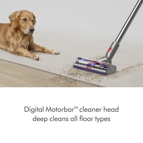 Dyson V15 Detect™ Origin Cordless Vacuum