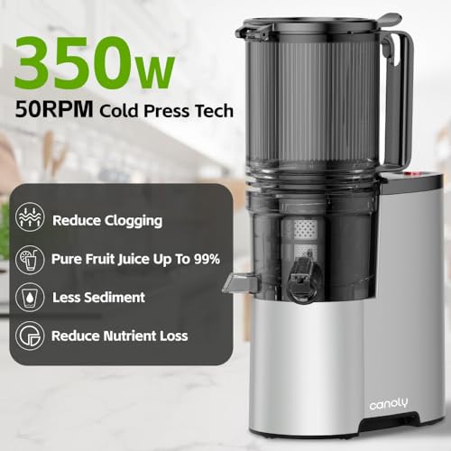 Cold Press Juicer, 5.4" Extra Large Feed Chute Fit Whole Fruits & Vegetables, 350W Professional Slow Masticating Juicer Machines, Easy to Clean