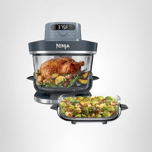 Ninja Crispi Pro 6-in-1 Glass Air Fryer | 450°F, Nontoxic, 6qt & 2.5qt Containers & Lids | Microwave, Freezer, Dishwasher Safe | Max Crisp, Air Fry, Bake, Roast, Recrisp, Dehydrate |Cyberspace AS101CY
