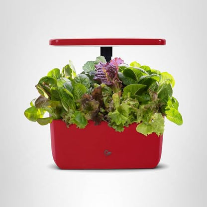 AeroGarden Harvest Lite in Cherry Red, Soil-Free Indoor Hydroponic Garden with LED Grow Light for Year-Round Gardening of up to 6 Herbs and Vegetables