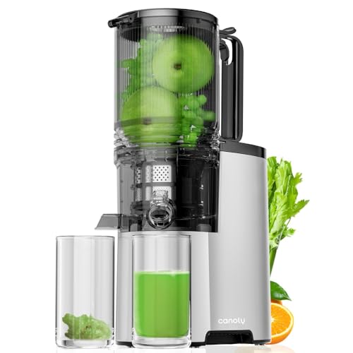 Cold Press Juicer, 5.4" Extra Large Feed Chute Fit Whole Fruits & Vegetables, 350W Professional Slow Masticating Juicer Machines, Easy to Clean