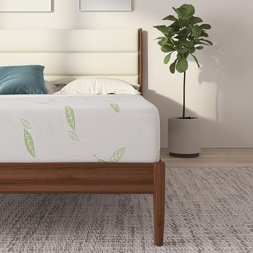 NapQueen Full Size Mattress, 12 Inch Anula Green Tea Infused Memory Foam Mattress, Full Size Mattress Bed in a Box, CertiPUR-US Certified Mattress