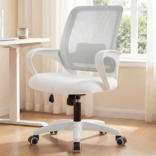 NEO CHAIR Home Office Desk Chair Ergonomic Mesh with Lumbar Support, Ivory