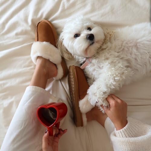 Dearfoams Women's Fireside Sydney Indoor/Outdoor Water Resistant Genuine Shearling Scuff Slipper, Wide Widths