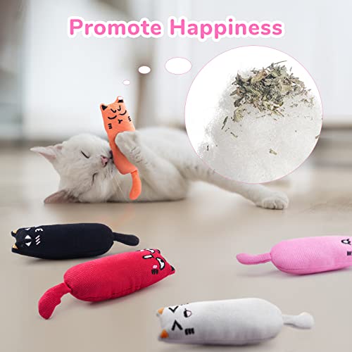 Legendog 5Pcs Bite Resistant Catnip Toy for Cats,Catnip Filled Cartoon Mice Cat Teething Chew Toy