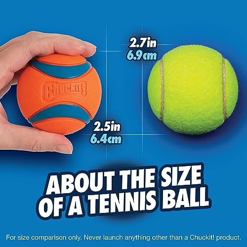 Chuckit Ultra Ball Dog Toy, Medium (2.5 Inch Diameter) Pack of 2, for breeds 20-60 lbs