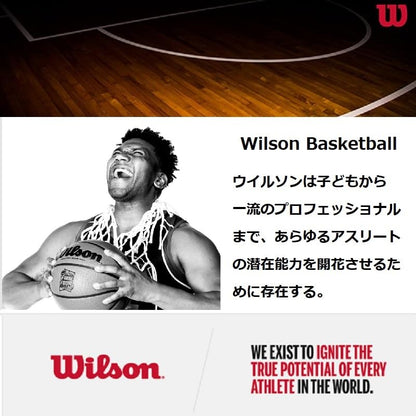 Wilson NBA Authentic Basketball - Indoor/Outdoor, Size 7 - 29.5 inch