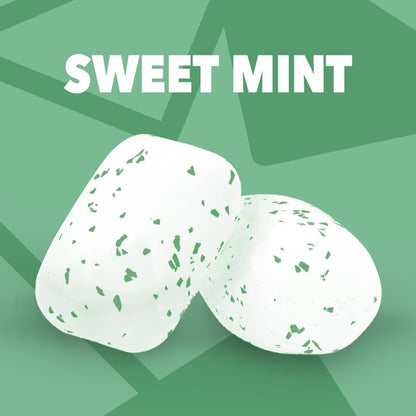 ORBIT Sweet Mint Gum, Chewing Gum Sugar-Free, 6 Packs, Bulk Pack