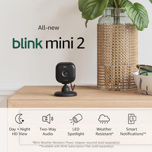 Blink Mini 2 — Home Security & Pet Camera(s) with HD video, color night view, motion detection, two-way audio, and built-in spotlight — 1 camera (Black)