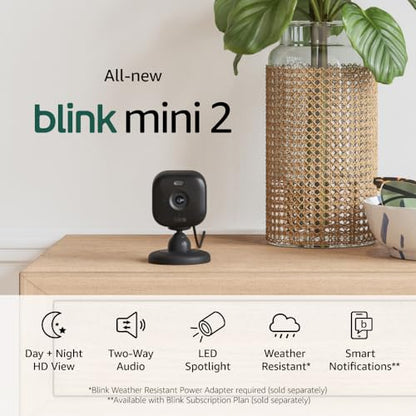 Blink Mini 2 — Home Security & Pet Camera(s) with HD video, color night view, motion detection, two-way audio, and built-in spotlight — 1 camera (Black)