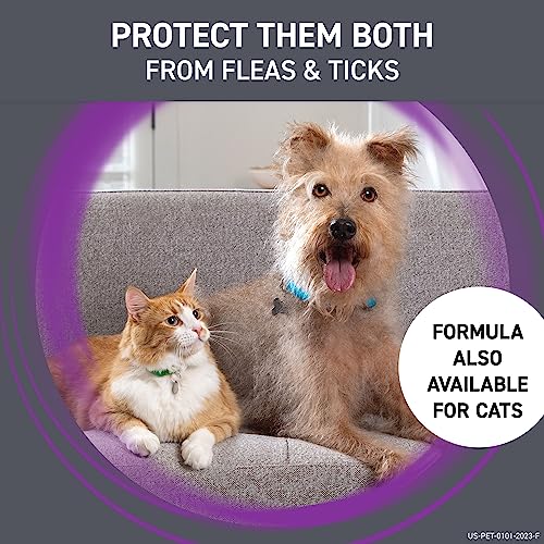 FRONTLINE Plus Flea and Tick Treatment for Large Dogs Up to 45 to 88 lbs., 3 Treatments