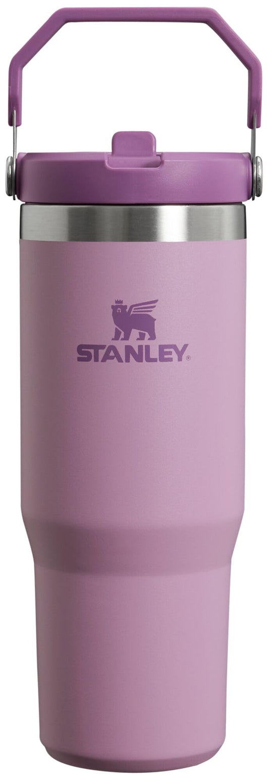 Stanley IceFlow Flip Straw Tumbler with Handle 30 oz | Twist On Lid and Flip Up Straw | Leak Resistant Water Bottle | Insulated Stainless Steel |BPA-Free | Lilac