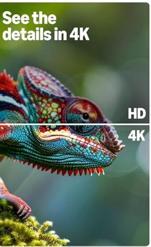 Amazon Fire TV 55" 4-Series (newest model), 4K Ultra HD smart TV with Alexa Remote, HDR10+, fast processor, Dolby Audio, Ambient Experience, free and live TV