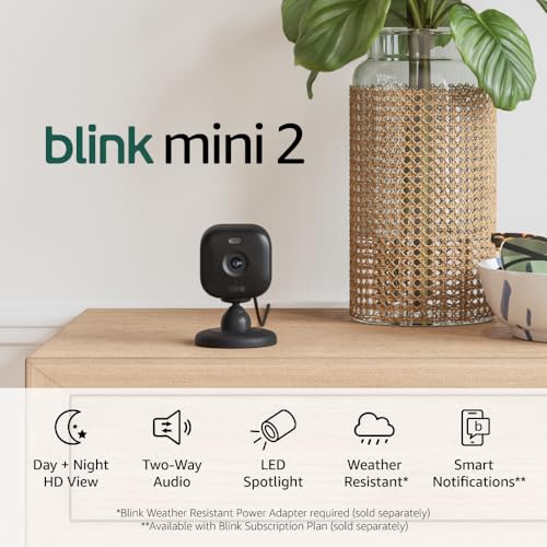 Blink Mini 2 — Home Security & Pet Camera(s) with HD video, color night view, motion detection, two-way audio, and built-in spotlight — 1 camera (Black)