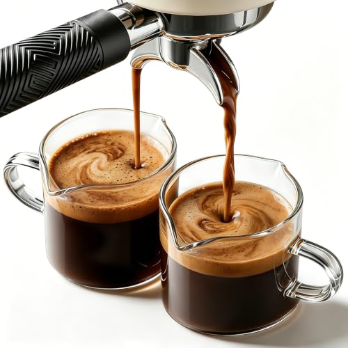 DWTS DANWEITESI Espresso Cups Set of 2: Espresso Machine Accessories - Espresso Shot Cups for Home Baristas - Essential Coffee Bar Accessories - 4oz Glass Espresso Cup Set with Handled and Spout