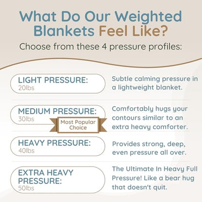 HomeSmart Products Weighted Blanket Queen Size 40lbs - Extra Heavy Blanket, Breathable Soft Fabric, Grey