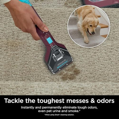 Shark Carpet Cleaner Machine, Portable Upholstery StainStriker, Spot, Odor & Stain Remover, 2 Carpet Cleaner Solutions, 3 Tools, Perfect for Pet Hair, Carpet, Area Rugs, Couches, Burgundy, PX203BRN