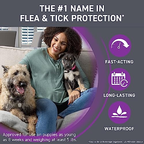 FRONTLINE Plus Flea and Tick Treatment for Large Dogs Up to 45 to 88 lbs., 3 Treatments