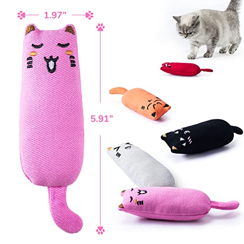 Legendog 5Pcs Bite Resistant Catnip Toy for Cats,Catnip Filled Cartoon Mice Cat Teething Chew Toy