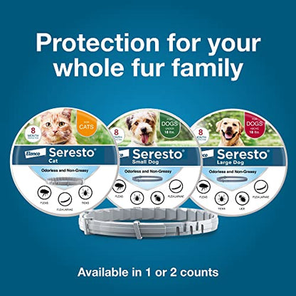 Seresto Small Dog Vet-Recommended Flea & Tick Treatment & Prevention Collar for Dogs Under 18 lbs. | 8 Months Protection